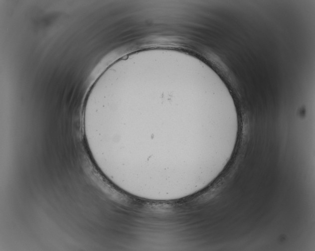 X0000115681370200912241432