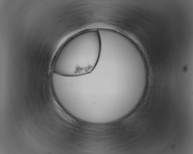 X0000115681372200912241432