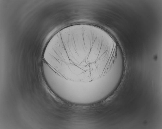 X0000115681373200912241432