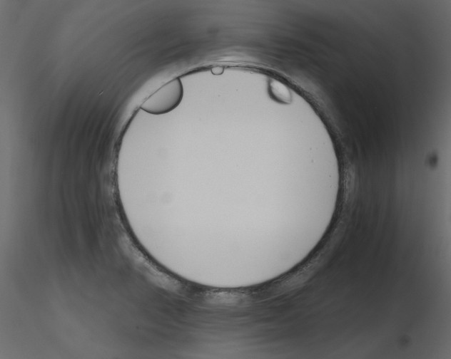 X0000115681374200912241432