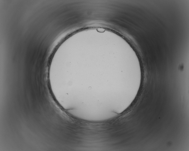 X0000115681376200912241432