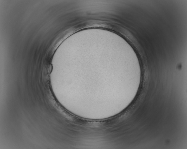 X0000115681377200912241431