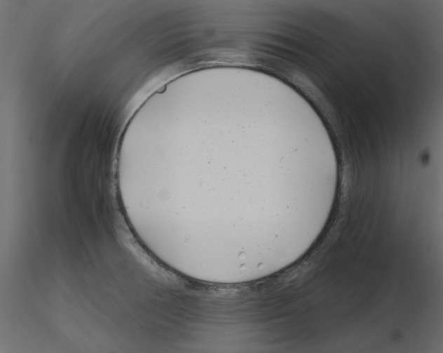 X0000115681378200912241431