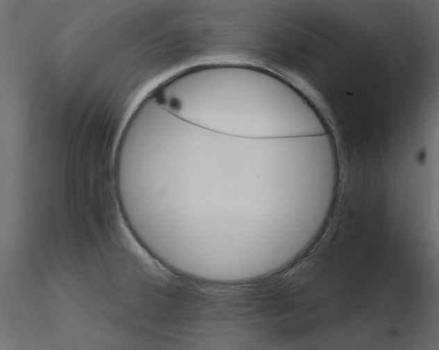 X0000115681380200912241431