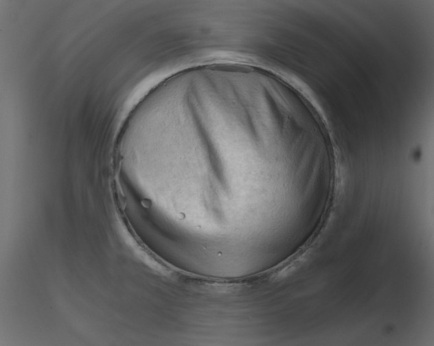 X0000115681381200912241431