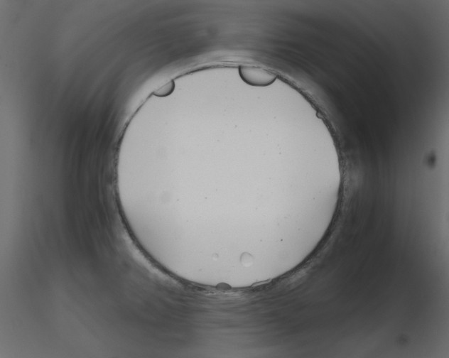 X0000115681382200912241431