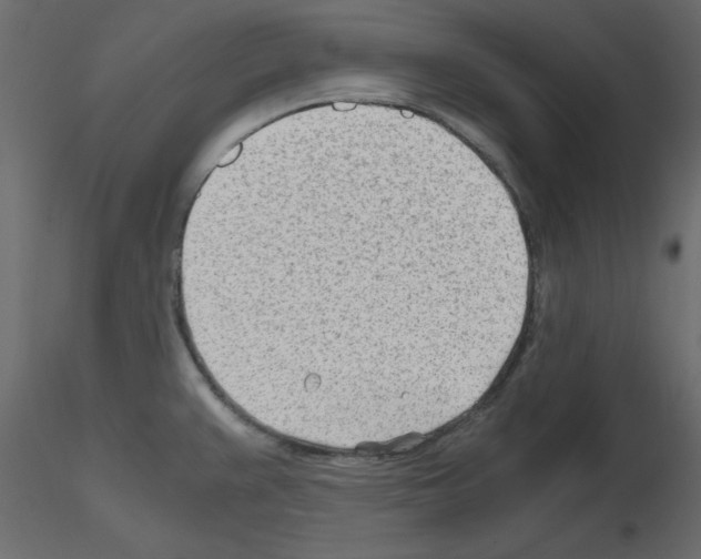 X0000115681383200912241431