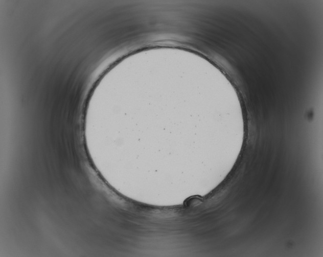 X0000115681384200912241431