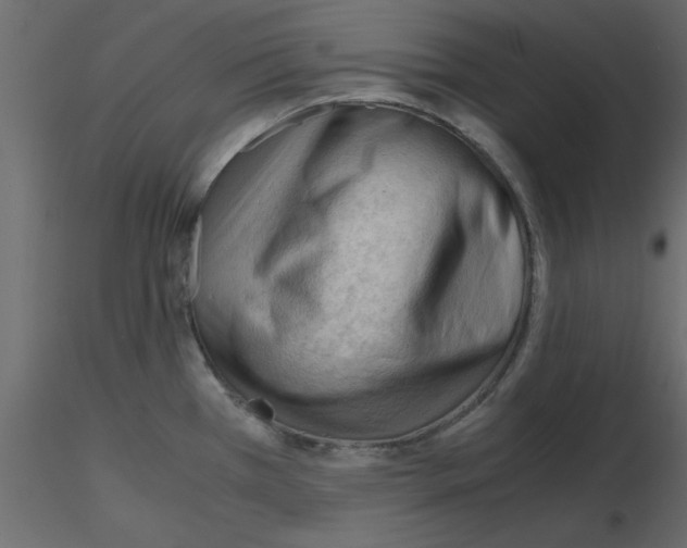 X0000115681385200912241431