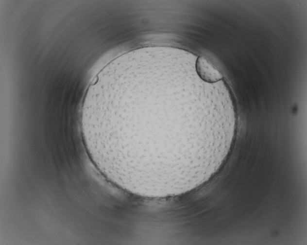 X0000115681386200912241431