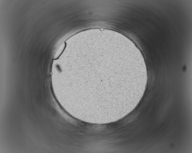 X0000115681387200912241431