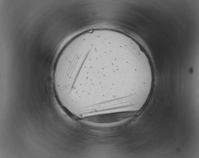 X0000115681388200912241431