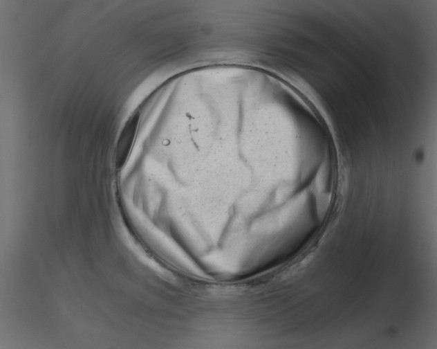 X0000115681389200912241431