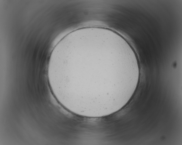 X0000115681390200912241431