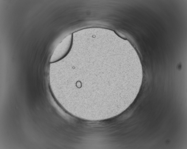 X0000115681391200912241431