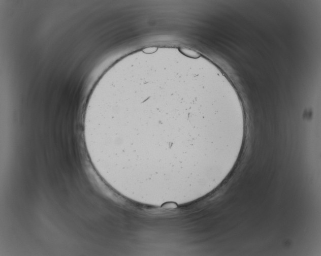 X0000115681392200912241431