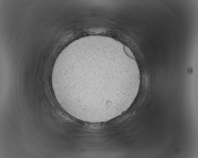 X0000115681393200912241431