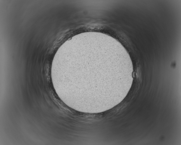 X0000115681396200912241431