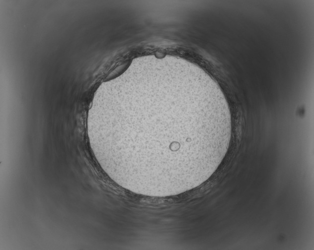 X0000115681397200912241431