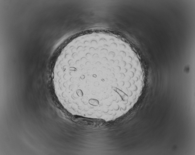 X0000115681400200912241431