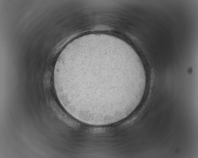 X0000115681401200912241431