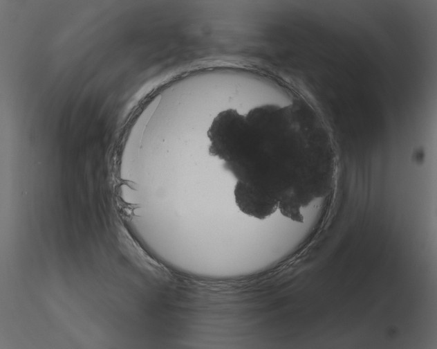 X0000115681404200912241431