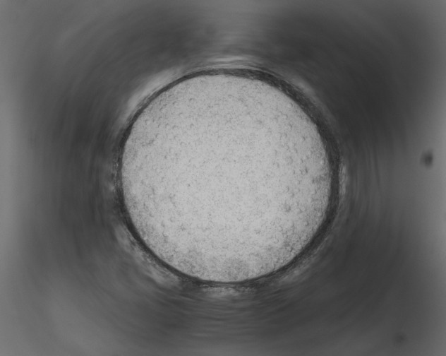 X0000115681405200912241431