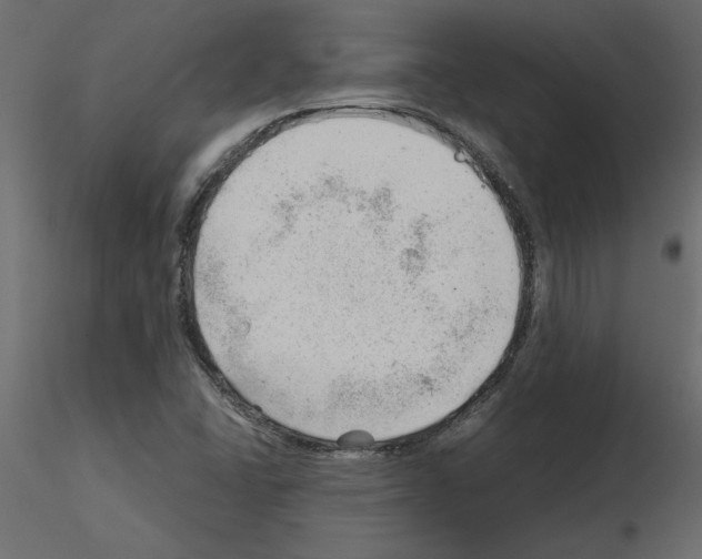 X0000115681406200912241431