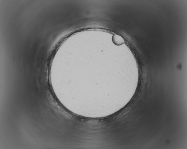 X0000115681408200912241431