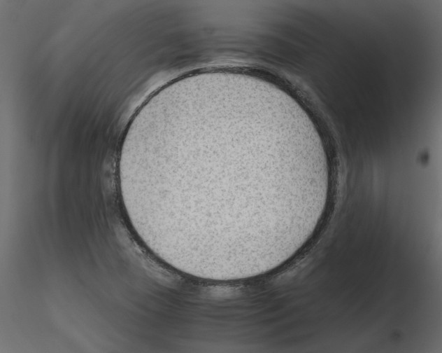 X0000115681409200912241431