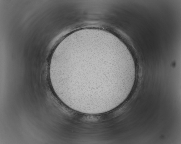 X0000115681411200912241431