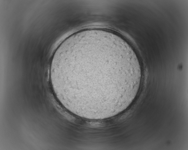 X0000115681413200912241431