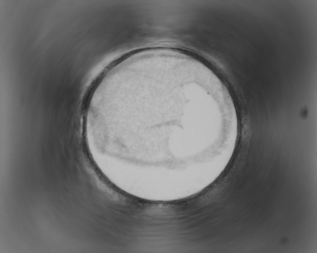 X0000115681414200912241431