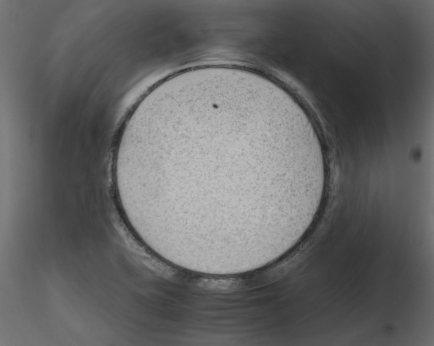 X0000115681415200912241431