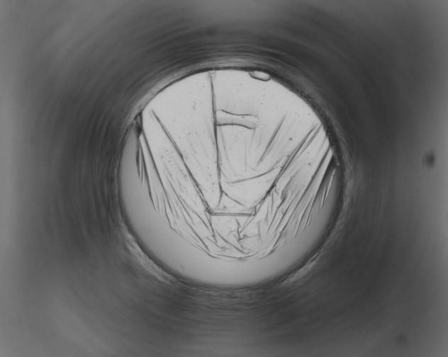 X0000115681417200912241431