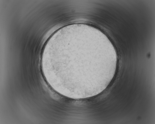 X0000115681418200912241431
