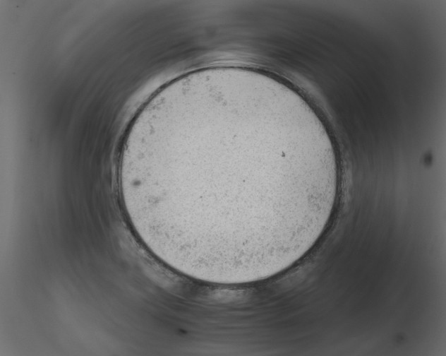X0000115681419200912241431