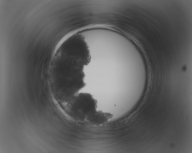 X0000115681420200912241431