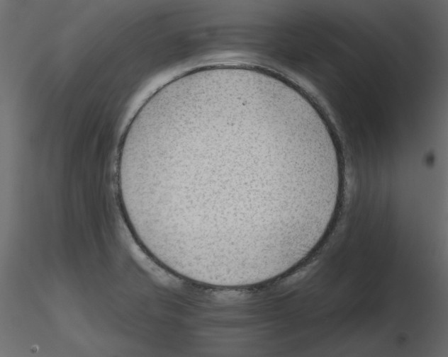 X0000115681421200912241431