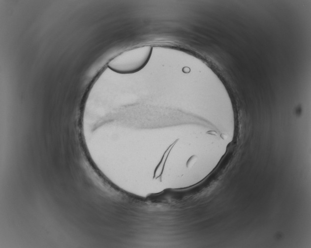 X0000115681422200912241431