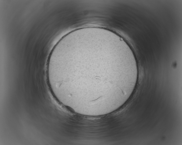 X0000115681423200912241431