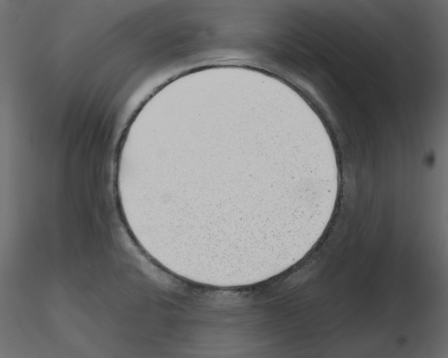 X0000115681424200912241431