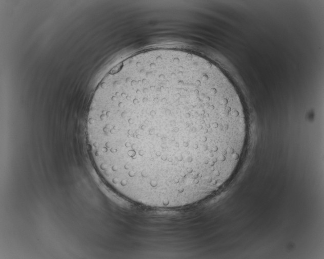 X0000115681425200912241431