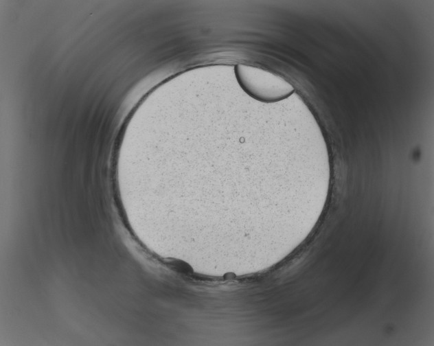 X0000115681426200912241431