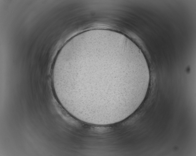 X0000115681427200912241431