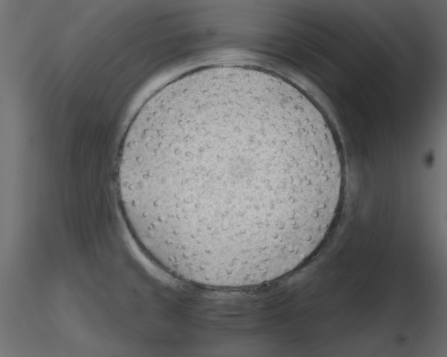X0000115681429200912241431