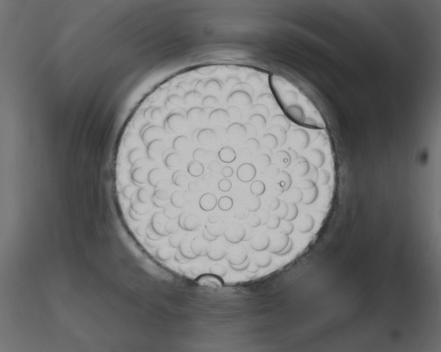 X0000115681432200912241431