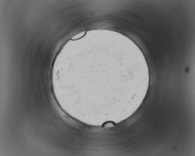 X0000115681434200912241431