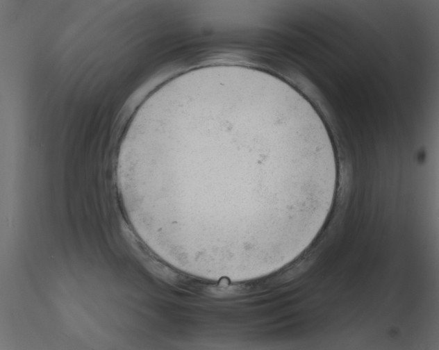 X0000115681435200912241431