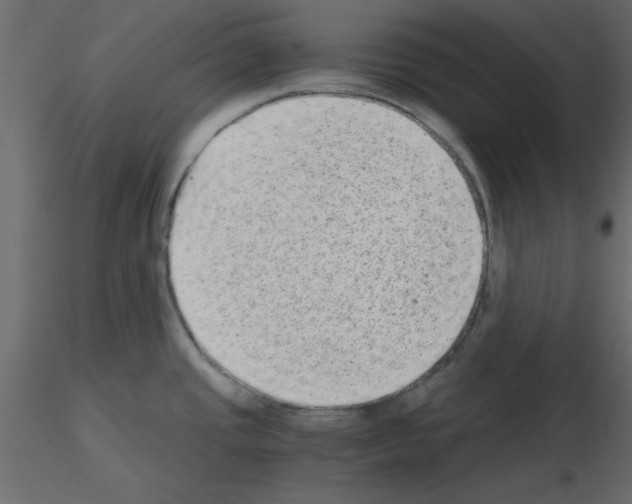 X0000115681437200912241431